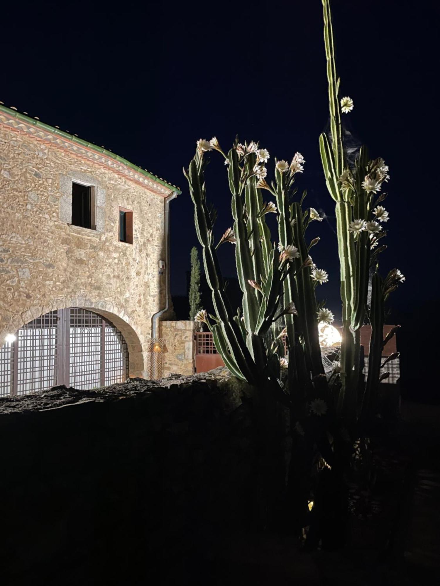 Can Claros Capmany Exterior foto